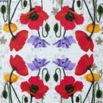 Floral Multicolour Paper Napkin - (Pack of 20)