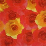 Floral Red & Yellow Paper Napkin - (Pack of 20)