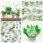 Decoupage Paper Napkins - Green Leaves B (4 Sheets)