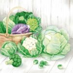Decoupage Paper Napkins - Vegetables