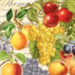 Decoupage Paper Napkins - Autumn Fruits