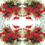 Decoupage Paper Napkins - Floral J10 (4 Sheets)