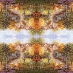 Decoupage Paper Napkins - Outdoor/Scenic - 6F (4 Sheets)