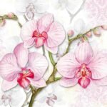 Decoupage Paper Napkins - Floral 9 (4 Sheets)