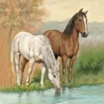Decoupage Paper Napkins - Horses