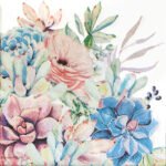 Decoupage Paper Napkins - Succulent Love