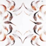 Decoupage Paper Napkins - Feathers