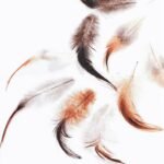 Decoupage Paper Napkins - Feathers