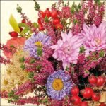 Decoupage Paper Napkins - Mixed Prints (9 Sheets)