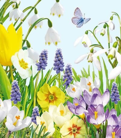 Decoupage Paper Napkins - Spring Time