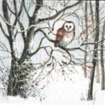 Decoupage Paper Napkins - Owl