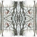Decoupage Paper Napkins - Owl