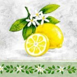 Decoupage Paper Napkins - Lemon Branch