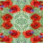 Decoupage Paper Napkins - Painted Poppies Green