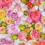 Decoupage Paper Napkins - Floral 17 (4 Sheets)