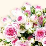 Decoupage Paper Napkins - Floral 17 (4 Sheets)