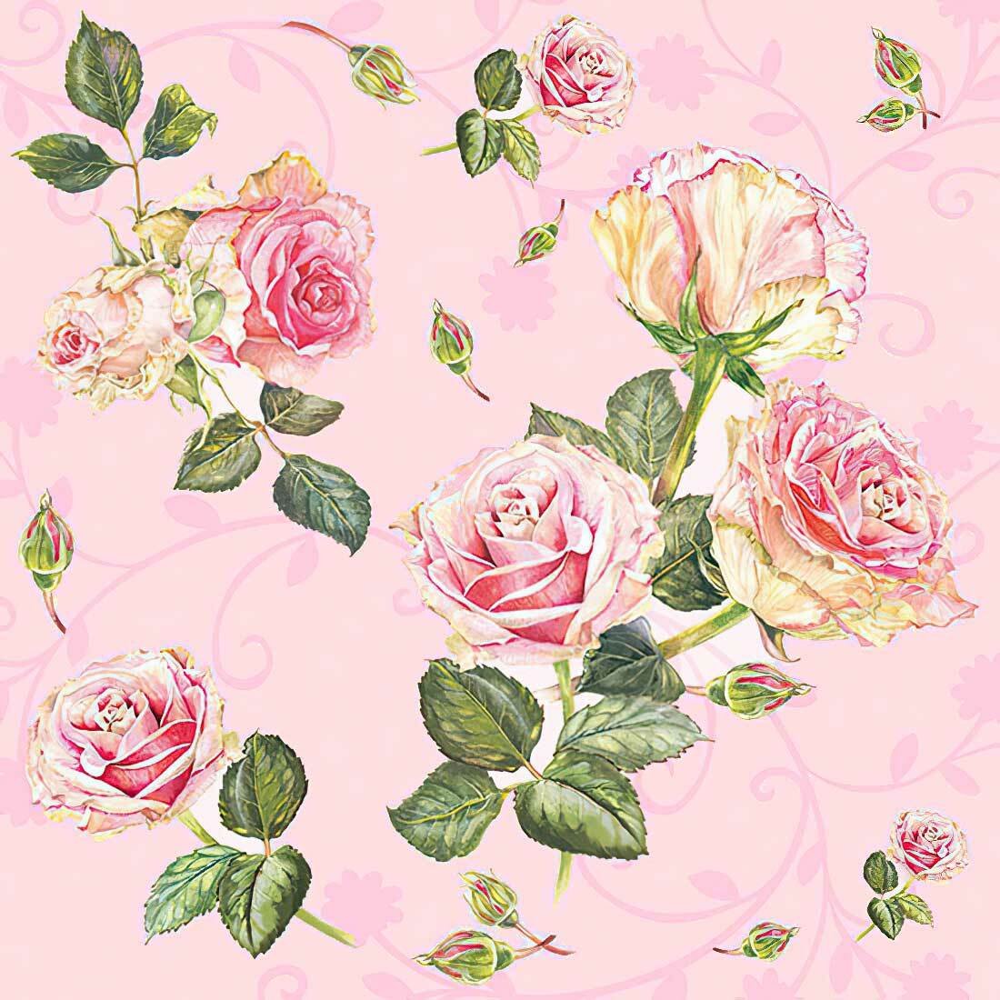 Decoupage Paper Napkins - Floral Rosie Rose - Baby Pink - The Tissue Store Decoupage Paper Napkins - Floral Rosie Rose - Baby Pink