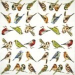 Decoupage Paper Napkins - Collection Of Birds