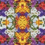 Decoupage Paper Napkins - Variety of Freesias