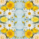 Decoupage Paper Napkins - Brillantes Flores De Jardin