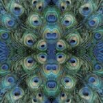 Decoupage Paper Napkins - Peacock Feathers