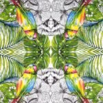 Decoupage Paper Napkins - Jungle Parrot