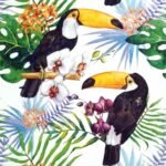 Decoupage Paper Napkins - Toucans with Jungle Plants