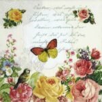 Decoupage Paper Napkins - Portrait of Butterfly