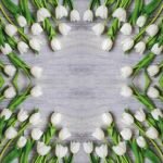 Decoupage Paper Napkins - Floral 21 (4 Sheets)