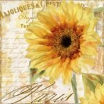 Decoupage Paper Napkins - Tournesol - Sunflower