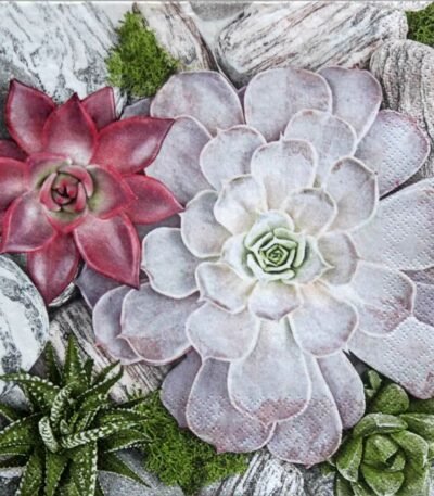Decoupage Paper Napkins - Succulent Plants and Stones