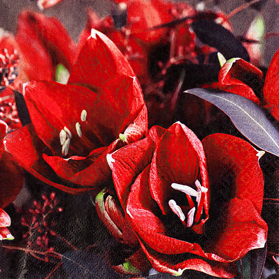 Decoupage Paper Napkins - Classic Amaryllis - The Tissue Store Decoupage Paper Napkins - Classic Amaryllis