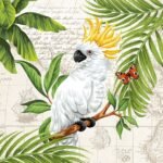 Decoupage Paper Napkins - Cockatoo