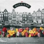 Decoupage Paper Napkins - Canal Flowers Tulips