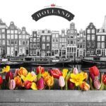 Decoupage Paper Napkins - Canal Flowers Tulips