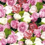 Decoupage Paper Napkins - Floral 26 - Roses (4 Sheets)