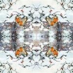 Decoupage Paper Napkins - Robins On Branch