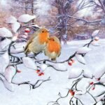 Decoupage Paper Napkins - Robins On Branch