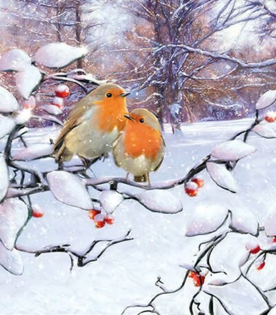 Decoupage Paper Napkins - Robins On Branch