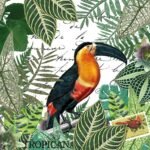Decoupage Paper Napkins - Tropicana
