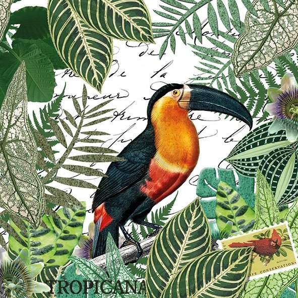 Decoupage Paper Napkins - Tropicana - The Tissue Store Decoupage Paper Napkins - Tropicana