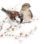 Decoupage Paper Napkins - Sparrows Blossom