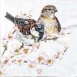 Decoupage Paper Napkins - Sparrows Blossom