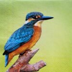 Decoupage Paper Napkins - Kingfisher