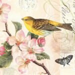 Decoupage Paper Napkins - Bird And Blossom