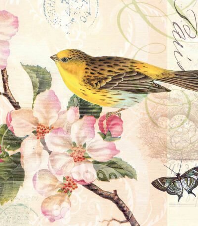 Decoupage Paper Napkins - Bird And Blossom
