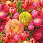 Decoupage Paper Napkins - Ranunculus