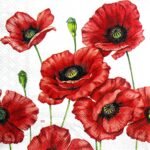 Decoupage Paper Napkins - Romantic Poppy