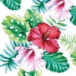 Decoupage Paper Napkins - Hibiscus Floral White