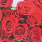 Decoupage Paper Napkins - Red Roses